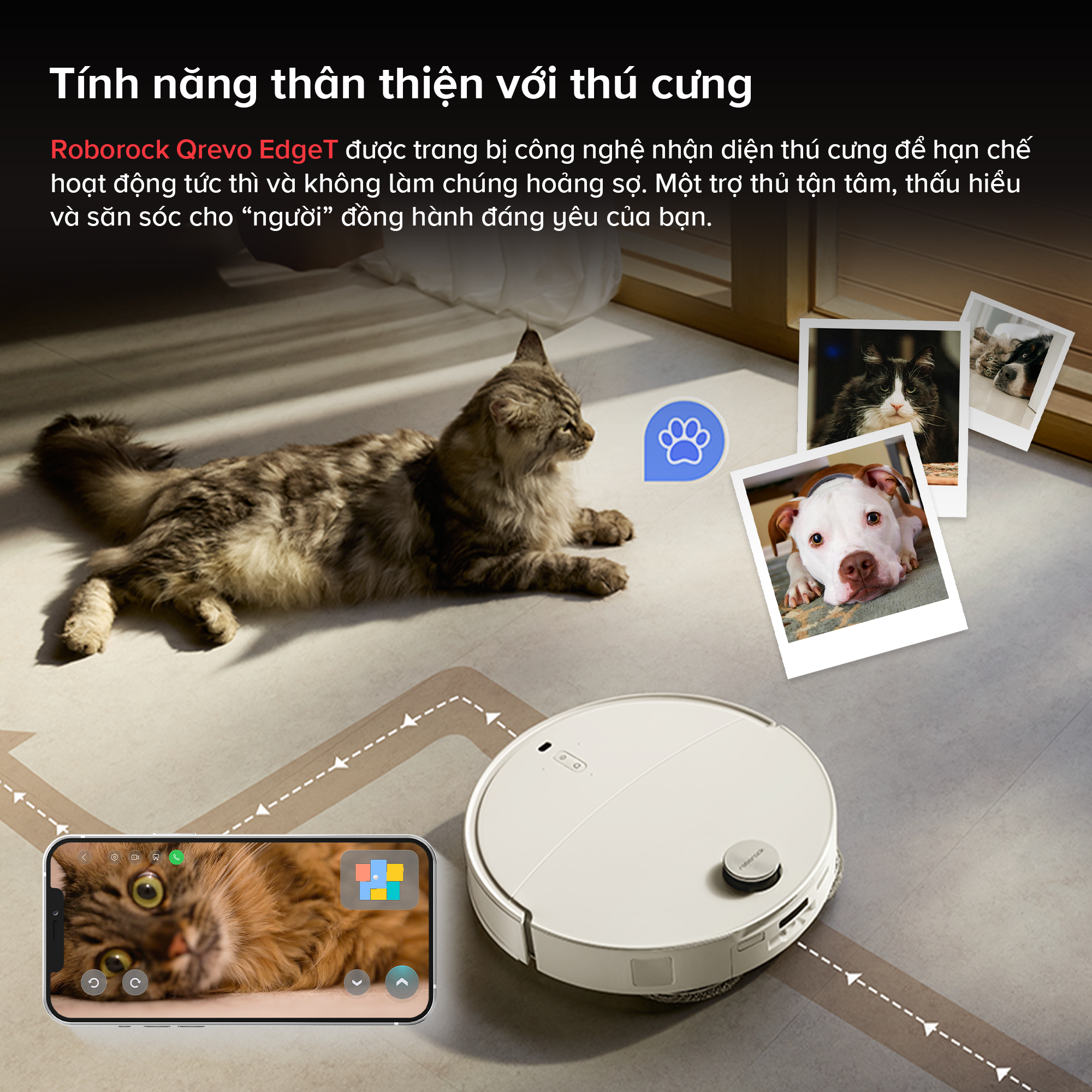 Roborock Qrevo EdgeT