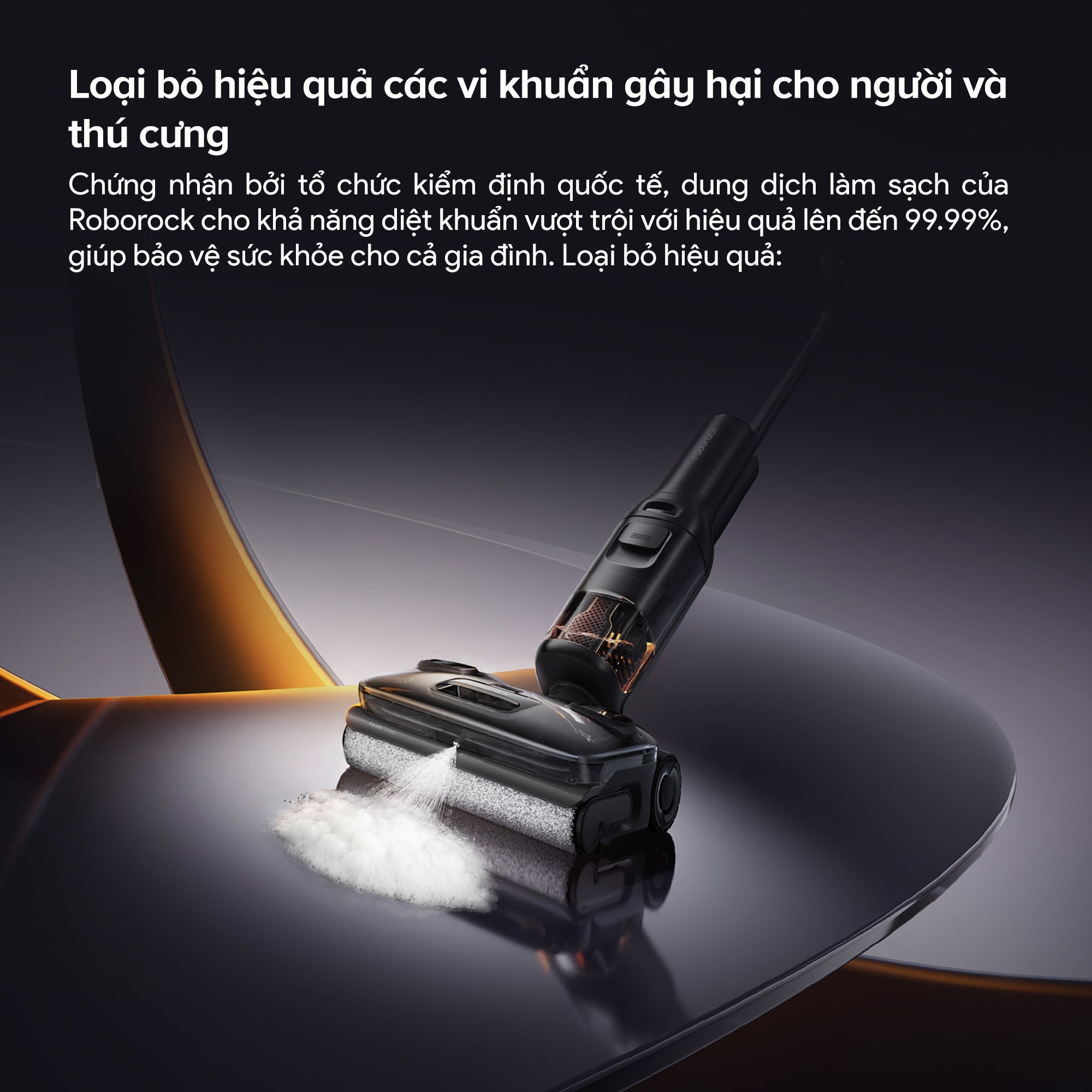 Roborock F25 ACE Pro